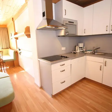 Apartamento Ellmau Saalbach-Hinterglemm